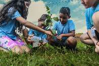 Crian&ccedil;as plantam &aacute;rvores frut&iacute;feras em &aacute;rea marcada por lixo