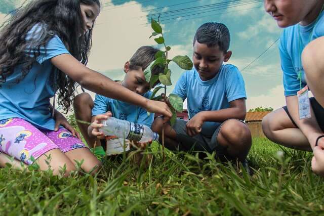 Crian&ccedil;as plantam &aacute;rvores frut&iacute;feras em &aacute;rea marcada por lixo