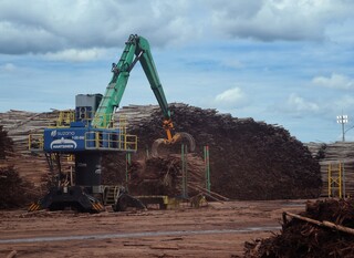 Impulsionada por megaf&aacute;brica em Ribas, produ&ccedil;&atilde;o da Suzano cresce 20% em 2025