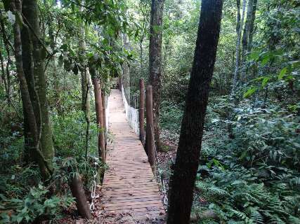 Parque das Matas do Segredo passa a ter limite e regras para visitantes