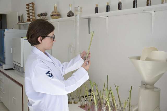 Portaria autoriza bolsas de inicia&ccedil;&atilde;o cient&iacute;fica para alunos de cursos EaD