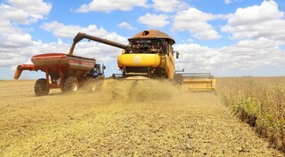 MS acelera produ&ccedil;&atilde;o de soja e projeta uma das melhores safras da hist&oacute;ria