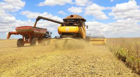MS acelera produ&ccedil;&atilde;o de soja e projeta uma das melhores safras da hist&oacute;ria