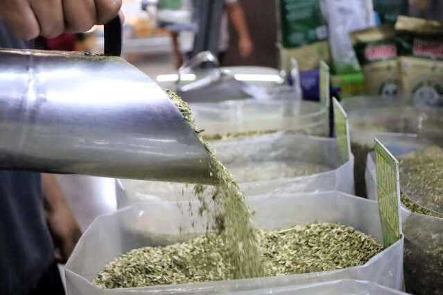 Terer&eacute; &eacute; identidade sul-mato-grossense, mas erva vem majoritariamente de fora