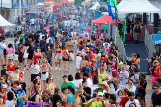 Aten&ccedil;&atilde;o ao cart&atilde;o e prote&ccedil;&atilde;o extra na pochete, veja dicas de seguran&ccedil;a na folia