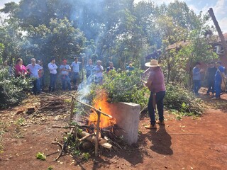Tereré é identidade sul-mato-grossense, mas erva vem majoritariamente de fora Tereré é identidade sul-mato-grossense, mas erva vem majoritariamente de fora