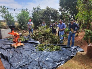 Tereré é identidade sul-mato-grossense, mas erva vem majoritariamente de fora Tereré é identidade sul-mato-grossense, mas erva vem majoritariamente de fora