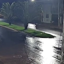 Em imagens chocantes, morador &eacute; flagrado espancando brutalmente c&atilde;ozinho 