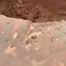 Chuva abre cratera em trecho em obras e caminhonete cai na Rua da Divis&atilde;o