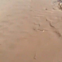 Chuva abre cratera em trecho em obras e caminhonete cai na Rua da Divis&atilde;o