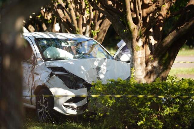 Motorista passa mal e morre ao bater carro em &aacute;rvore dentro de madeireira