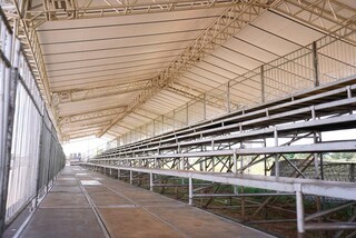 Desfile das escolas de samba espera levar 20 mil pessoas &agrave; Pra&ccedil;a do Papa