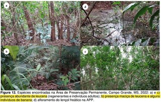 Capital assina acordo e deve cercar tr&ecirc;s &aacute;reas de preserva&ccedil;&atilde;o at&eacute; maio de 2027