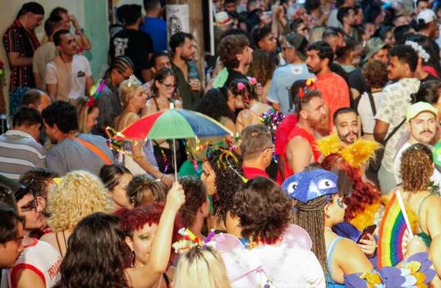 Carnaval exige aten&ccedil;&atilde;o redobrada para evitar estresse e riscos &agrave; sa&uacute;de dos pets