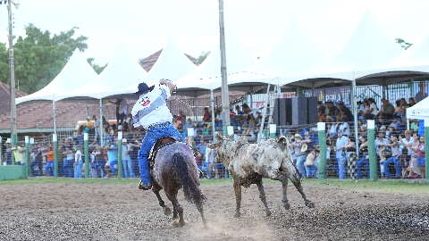 Encontro Estadual de Clubes do La&ccedil;o movimenta carnaval em Bonito