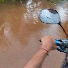 Ap&oacute;s chuva, queda de &aacute;rvore bloqueia rua no Jardim Centro-Oeste