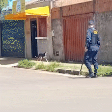 Rapaz em surto pula muros, quebra telhados e causa p&acirc;nico em moradores