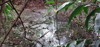 Capital assina acordo e deve cercar tr&ecirc;s &aacute;reas de preserva&ccedil;&atilde;o at&eacute; maio de 2027