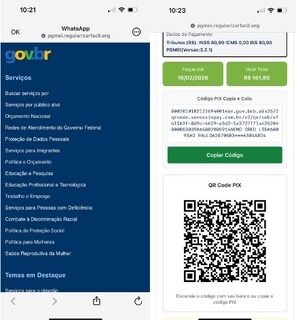 Criminosos usam site falso do Governo Federal para aplicar golpes em MEIs