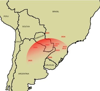 Cervo "invasor" &eacute; avistado no Pantanal e acende alerta entre pesquisadores