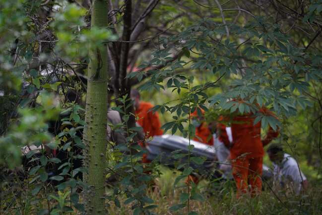Corpo &eacute; encontrado em &aacute;rea de mata no Parque das Na&ccedil;&otilde;es Ind&iacute;genas