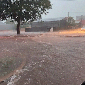 Temporal transforma avenidas em rios e derruba &aacute;rvores em Itaquira&iacute; 