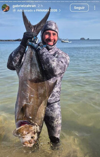 Vereador diz que &eacute; hora de rever gratuidades no transporte coletivo