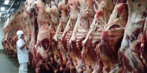Exporta&ccedil;&atilde;o de carne bovina cresce no Pa&iacute;s e Mato Grosso do Sul acompanha alta
