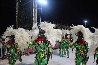 Primeira noite de desfile mistura homenagem, resist&ecirc;ncia e fantasia