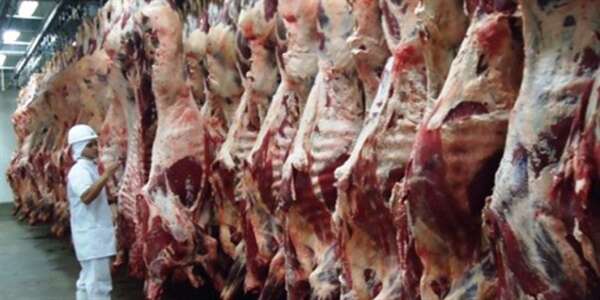 Exporta&ccedil;&atilde;o de carne bovina cresce no Pa&iacute;s e Mato Grosso do Sul acompanha alta