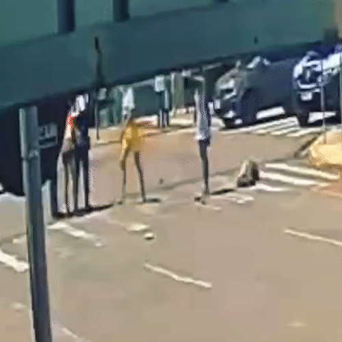 Morre mulher trans atingida a tiros por policial ap&oacute;s briga na Avenida Cal&oacute;geras