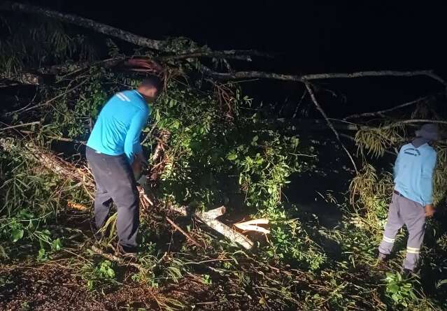 Queda de &aacute;rvore durante temporal isolou turistas na regi&atilde;o do Morro do Paxixi 
