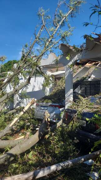 Fotos enviadas pela leitora.