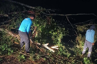 Queda de &aacute;rvore durante temporal isolou turistas na regi&atilde;o do Morro do Paxixi 