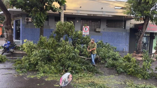 &Aacute;rvore cai sobre ve&iacute;culo durante temporal de 40 minutos no interior
