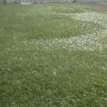 Em Chapad&atilde;o do Sul, chuva de granizo foi intensa e durou cerca de 10 minutos