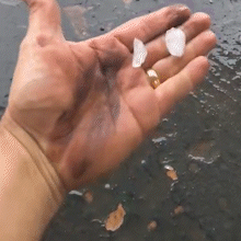 Granizo chega forte, causando medo na Quarta-feira de Cinzas na Capital