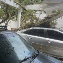 &Aacute;rvore cai sobre casa e 2 carros no S&atilde;o Francisco