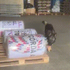 Pol&iacute;cia apreende 293 quilos de maconha em encomenda disfar&ccedil;ada de rolo de corda