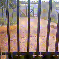 Temporal deixa rastro de alagamentos em v&aacute;rias regi&otilde;es da Capital