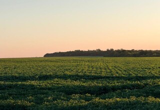 Agricultura regenerativa de MS &eacute; apresentada na Alemanha como modelo sustent&aacute;vel