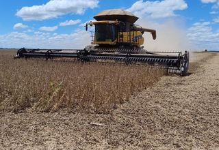 Colheita da soja em MS chega a 14,9% e mant&eacute;m avan&ccedil;o desigual