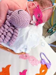 Hospital leva ensaio de Carnaval &agrave; UTI neonatal e emociona fam&iacute;lias