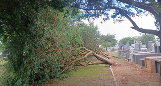 Ap&oacute;s tempestade de poeira e vendaval, cidades come&ccedil;am o dia com limpeza 