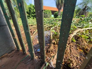 Moradores limpam barro acumulado depois da chuva forte