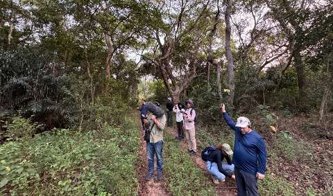 Entre canto de aves e rugido do bugio, Pantanal ganha voz em pesquisa musical