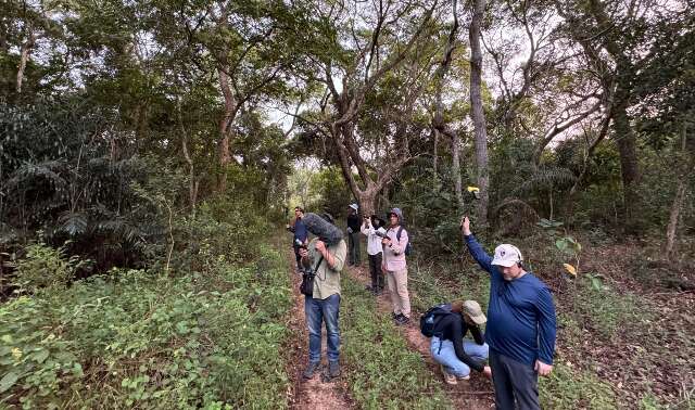 Entre canto de aves e rugido do bugio, Pantanal ganha voz em pesquisa musical