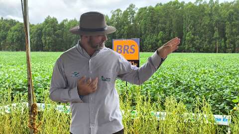 Nova gera&ccedil;&atilde;o de soja aposta em produtividade e menor uso de defensivos