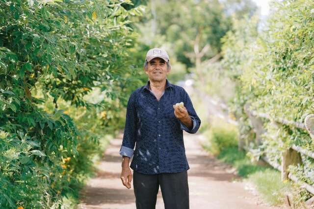 &Agrave;s margens do Anhandu&iacute;, aposentado cria bosque urbano com 700 plantas