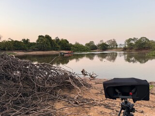 Entre canto de aves e rugido do bugio, Pantanal ganha voz em pesquisa musical
